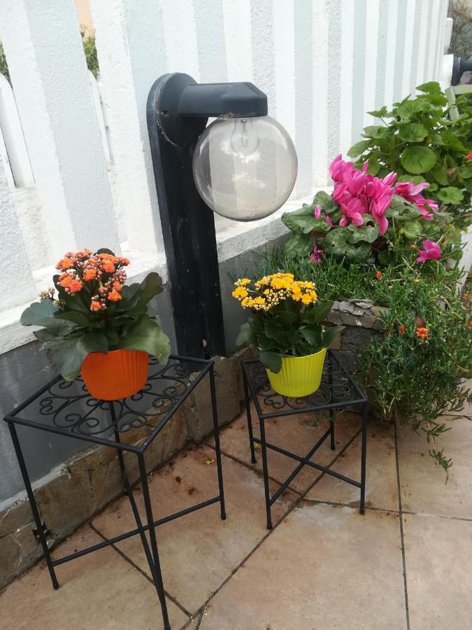 B&B Lety Alghero Exterior photo